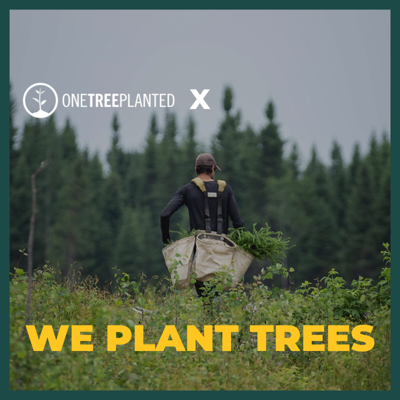 Reforestation partner One Tree Planted